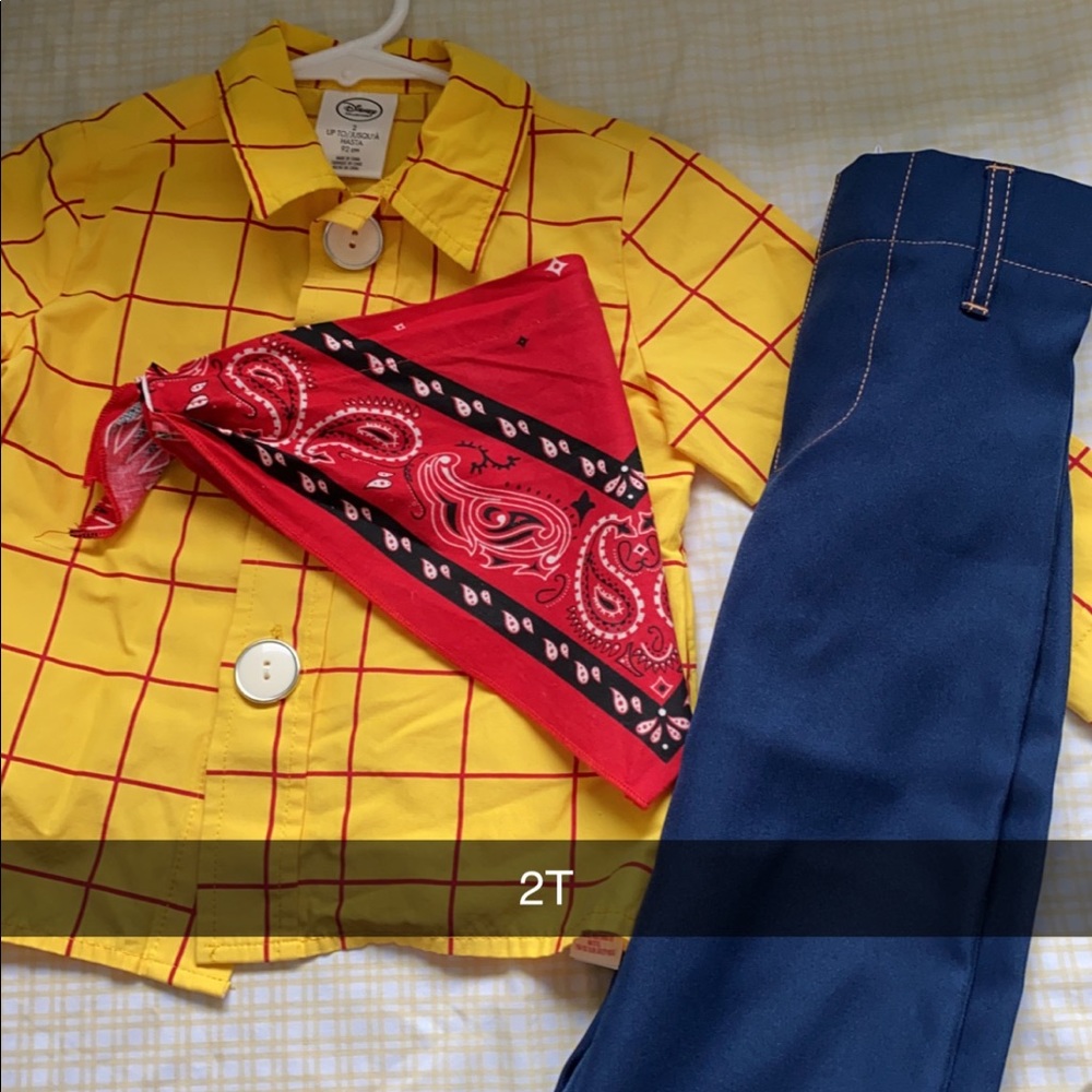 Woody Costume